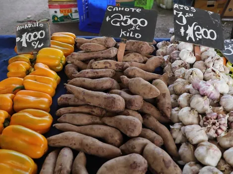 ¿Quiénes reciben el Aporte Canasta Básica de marzo?