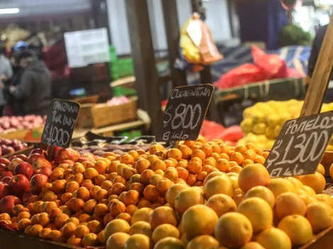 Revisa con tu RUT si recibes el Bono Canasta Básica de febrero