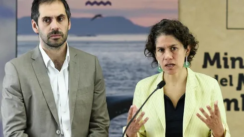 ¿Qué pasará ahora con el proyecto Dominga?