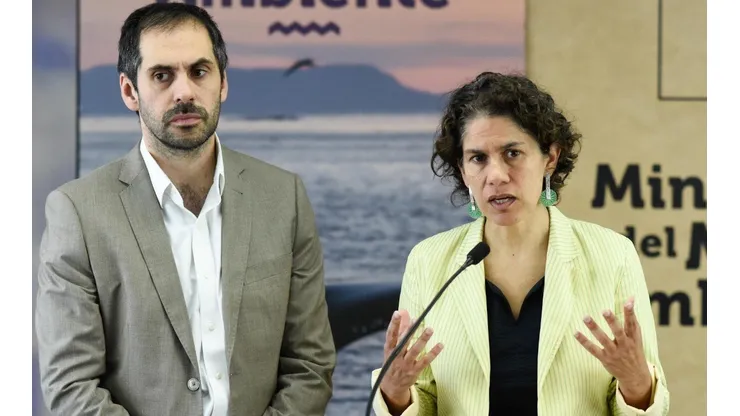 ¿Qué pasará ahora con el proyecto Dominga?