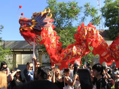 ¿Cuándo se celebra el Año Nuevo Chino y cuál es su origen?