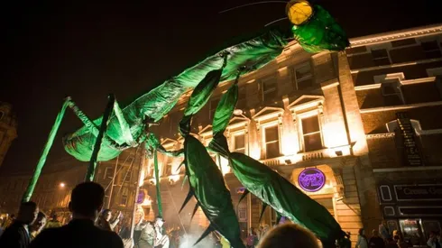 ¡No te pierdas del show de insectos!