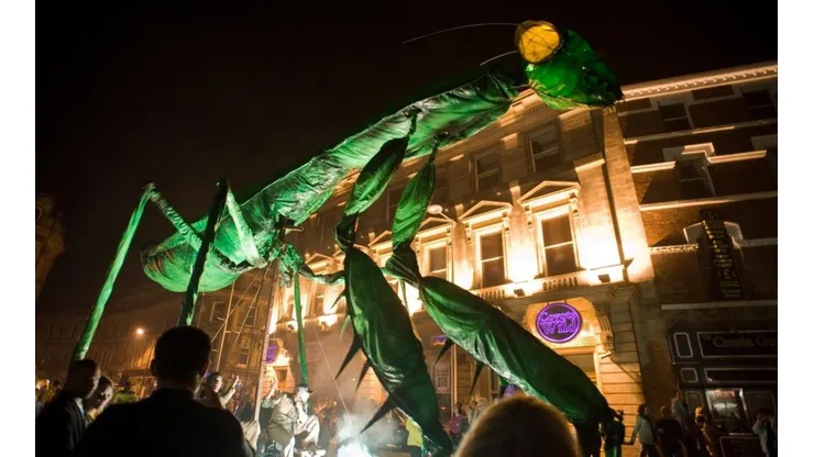 ¡No te pierdas del show de insectos!