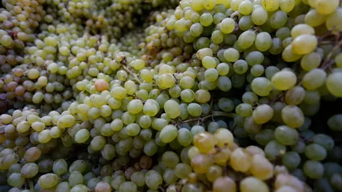 ¿Por qué se usa la cábala de comer 12 uvas para Año Nuevo?