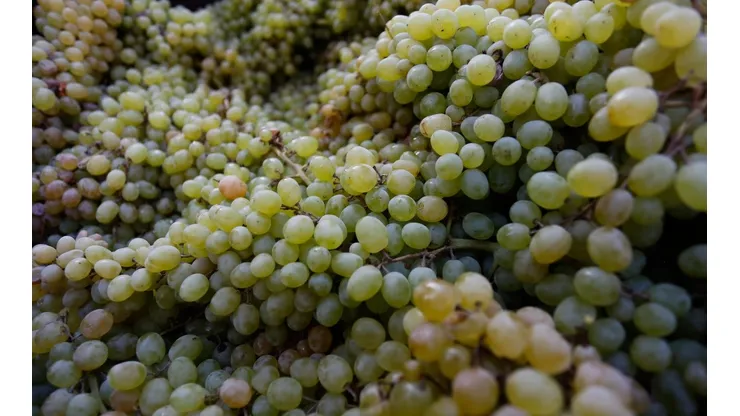 ¿Por qué se usa la cábala de comer 12 uvas para Año Nuevo?