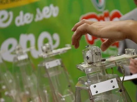 Consulta con tu RUT si ganaste La Suerte de ser Chileno