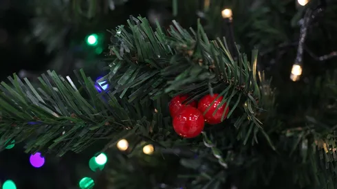 ¿Qué pasó con el feriado del 26 de diciembre?