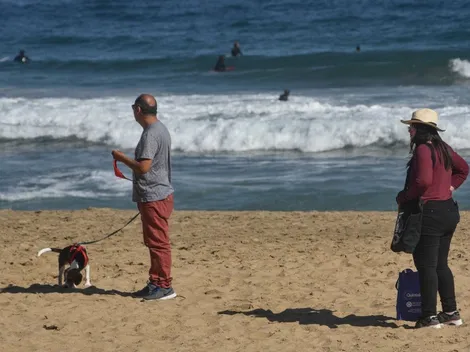 ¿Cuánto cuesta arrendar una casa en la playa para este verano?