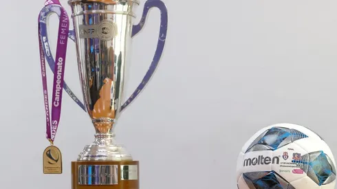 La Araucaria de Plata premiará a la campeona del futfem