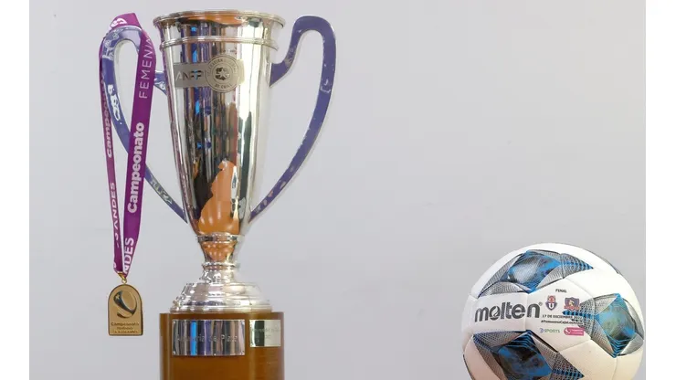 La Araucaria de Plata premiará a la campeona del futfem
