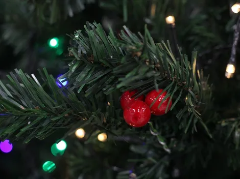 Evita accidentes: Comprueba si las luces y adornos del árbol de Navidad son certificados