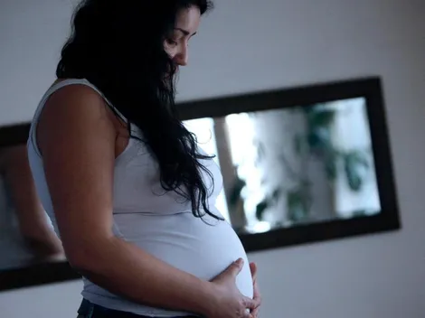 ¿Cómo revisar con el RUT la fecha de pago de la Asignación Maternal?