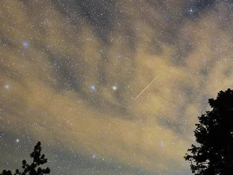 ¿Cuándo y dónde ver la Lluvia de estrellas Leonidas?