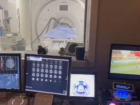 Experimento demuestra por qué la marraqueta es más crujiente