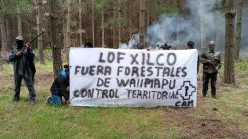 Dos empresarios forestales y otros diez delincuentes quedaron detenidos por robo de madera