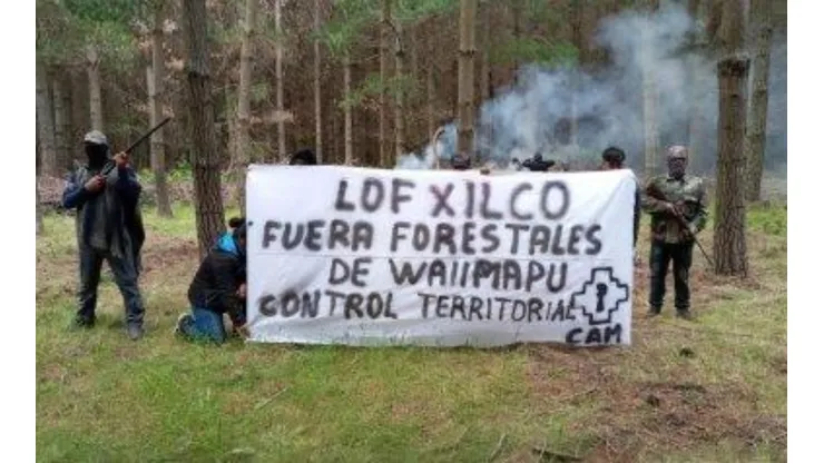 Dos empresarios forestales y otros diez delincuentes quedaron detenidos por robo de madera