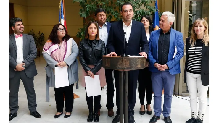 El senador Karim Bianchi consiguió 42 firmas para enviar el TPP-11 al TC