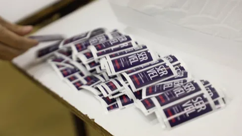 Detalles del Plebiscito de Salida.