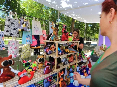 ¿Quiénes pueden recibir el Subsidio Mipymes?