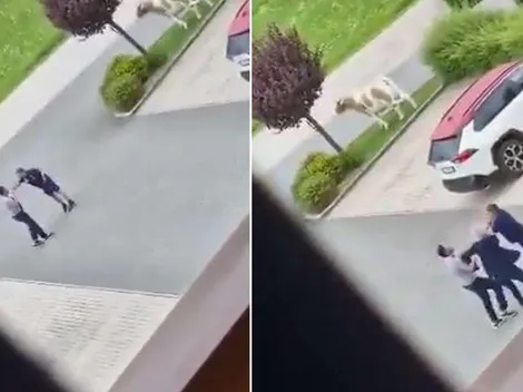 ¡Escándalo! Técnico y director deportivo del Torino se agarran a empujones