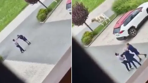 La pelea entre el técnico y el director deportivo del Torino