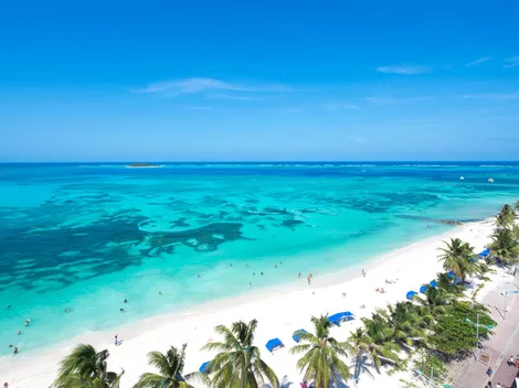 LATAM adelanta el Black Friday: más de 90 destinos nacionales