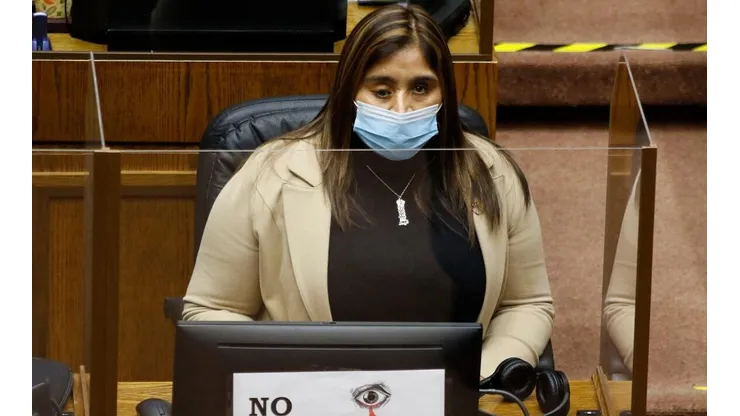 La senadora Fabiola Campillai demandó al Estado.