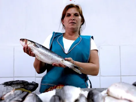 ¿Qué beneficios existen para las mujeres y cómo se puede postular?