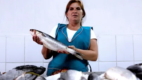 ¿Qué beneficios existen para las mujeres y cómo se puede postular?