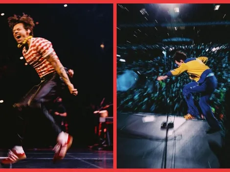 Fan cae desde la galería en show de Harry Styles