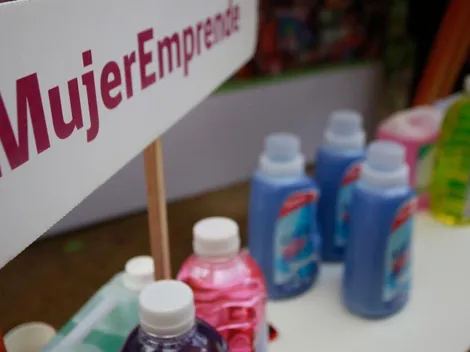 ¿Cómo postular al Capital Abeja?