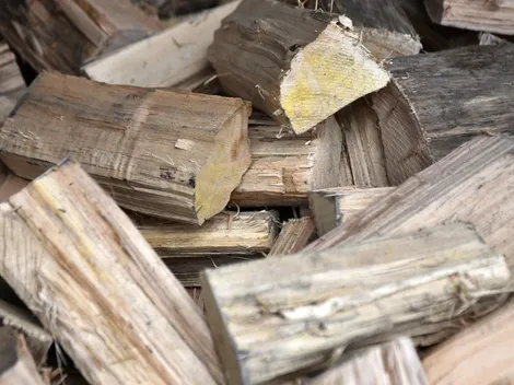 ¿Cuándo se paga el Bono Leña y cuánto dinero es?