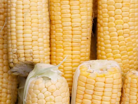 Receta humitas en olla