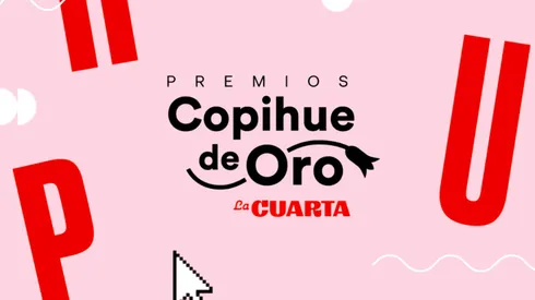 El Copihue de Oro 2022 reconocerá lo más destacado del mundo de la televisión, el espectáculo e internet.
