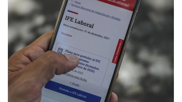 IFE Laboral postulación febrero