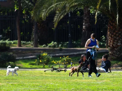 ¿Qué actividades puedo realizar en Fase 3 y qué significa esta etapa?