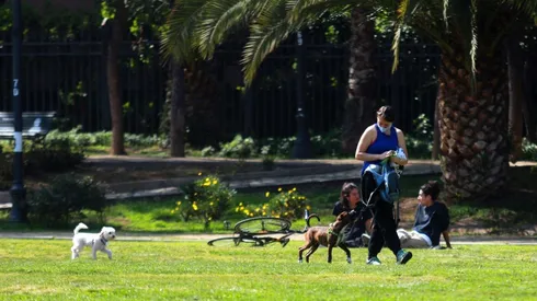 Actividades permitidas en Fase 3 Preparación