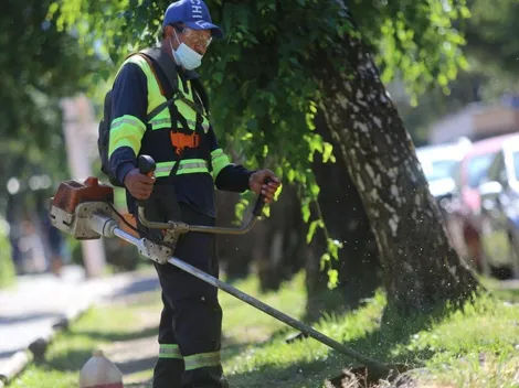 ¿Quiénes reciben el Bono Formalización de Trabajo ?