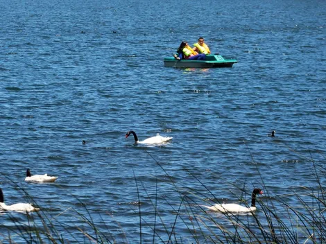 ¿Qué comunas cambian de fase este sábado 12 de febrero? Cambios Plan Paso a Paso