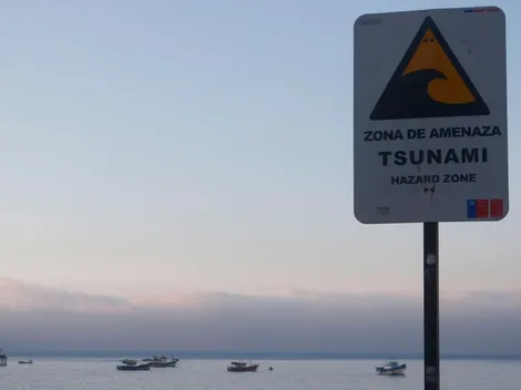 ¿Qué debo hacer en Estado de Alerta y Estado de Precaución?