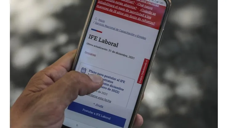 IFE Laboral