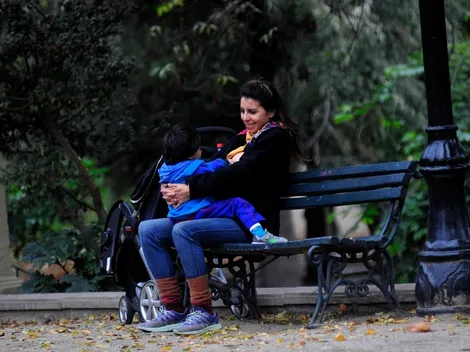 ¿Cuáles son los requisitos para el Subsidio Protege y cómo postular?