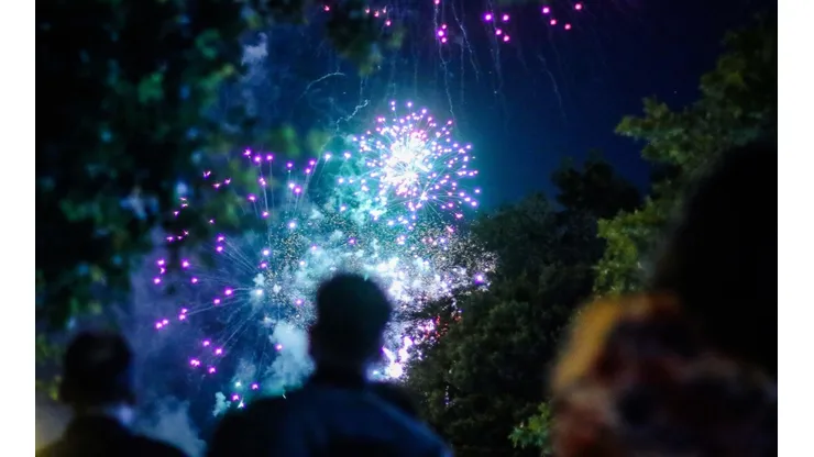 Feriado por Año Nuevo