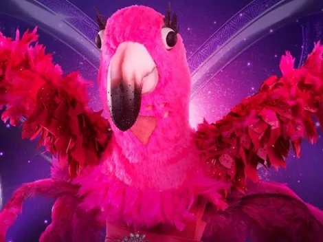 ¿Quién es la Máscara? | Revelan la identidad de Flamenco...