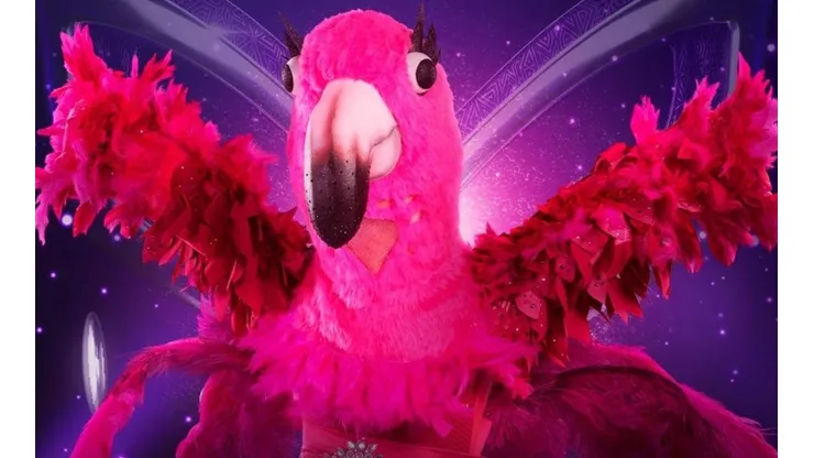 Flamenco de ¿Quién es la Máscara?
