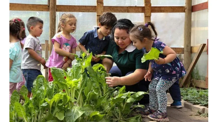 Postulaciones Junji 2022 | Requisitos y todo lo que debes saber para postular a jardines infantiles en Chile