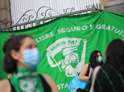 ¿Cuál es el significado de despenalizar y cuáles son los detalles del proyecto?