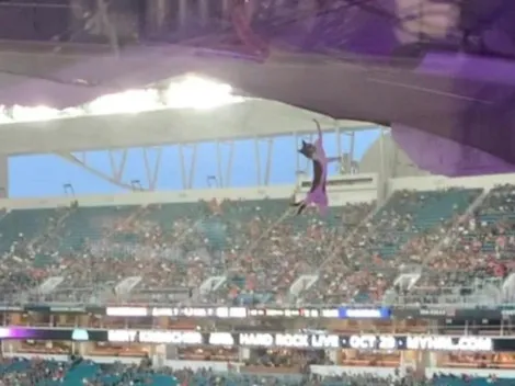 Gatito se salva de una muerte segura en un estadio de Florida