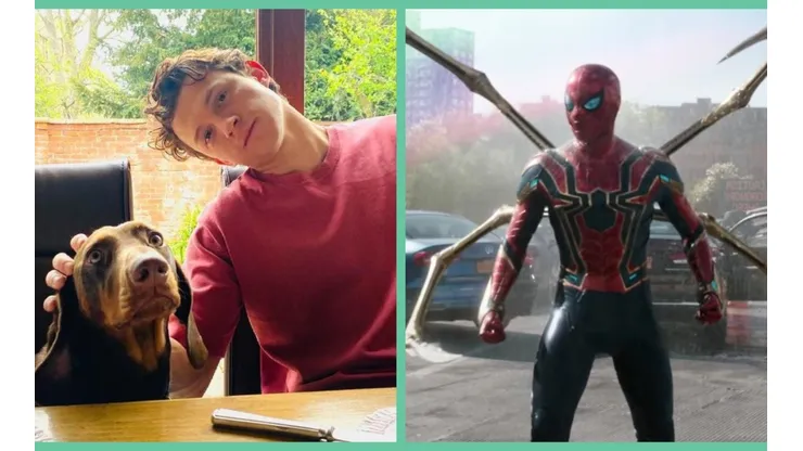Tom Holland ha logrado controlar su constante evacuación de spoilers y está jugando en la vereda de lo seguro, de la mano de Spider-Man: No Way Home.