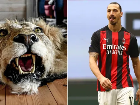 Acusan a Zlatan de disparar a un león e importar su cráneo como trofeo